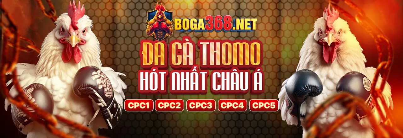 Đá gà trực tuyến 58vip