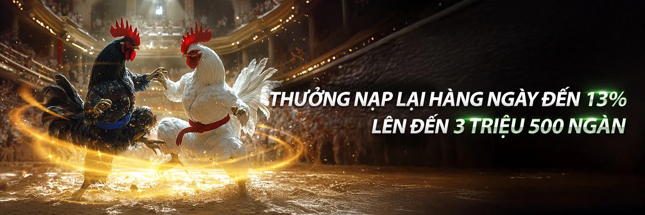Sân vận động với các trận đấu thể thao sôi động trên 58vip trang chủ chính thức