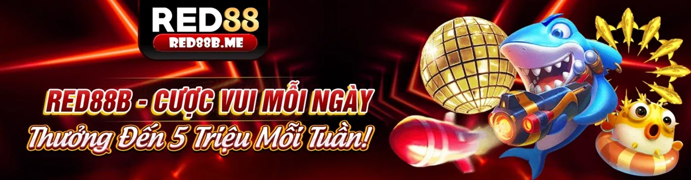 Tuân thủ các quy định pháp luật
